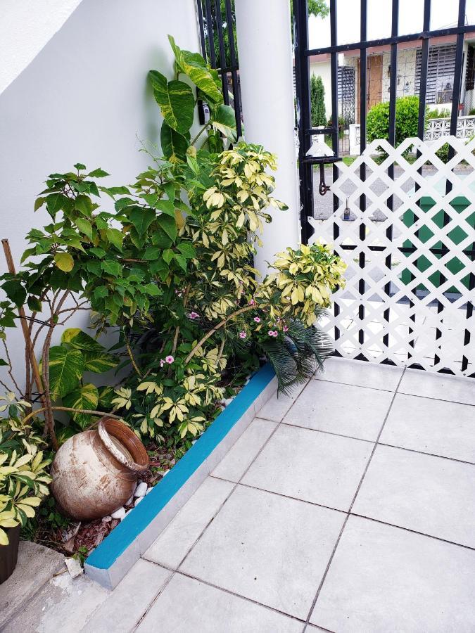 Mh House Apt #1 Carolina Ngoại thất bức ảnh